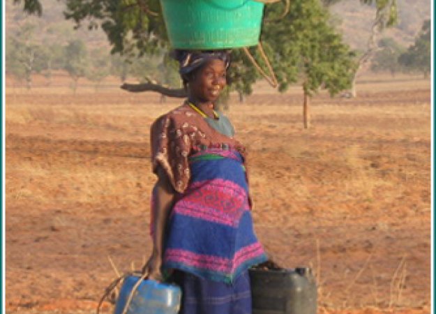 En Afrique, on ne gaspille pas ce qui est rare.