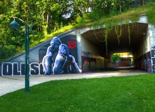 Tunnel à Villebon-sur-Yvette. Photo D. Leriche